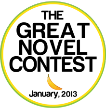 novel_contest_small2