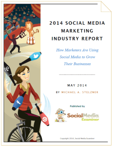 Social Media Examiner 2014 Report