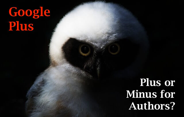 #28-Google-Plus-Authors