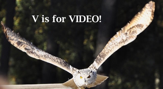 Author Marketing Mastery #31: Set Your Book in Motion with Your Video Book Trailer!