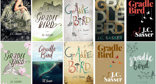 10 Steps to Book Cover Design: from an Author’s Birdseye View